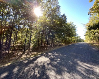 TBD LOT 49 50 Canadian Drive, Scroggins