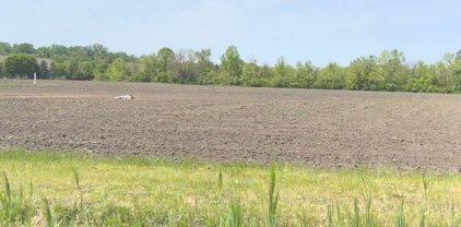 0000 Van Horn, Brownstown Twp