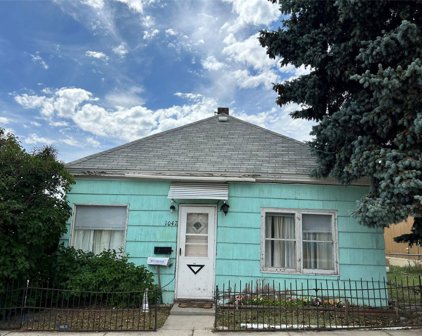 1047 Nevada, Butte