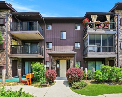 63 W 64Th Street Unit #301, Westmont