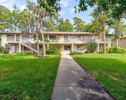 1601 Big Tree Road Unit 1101, South Daytona