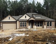 1408 Road 66113, Dayton image