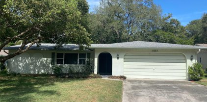 1905 Oro Court, Clearwater