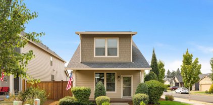 1712 Wood Duck St, Silverton