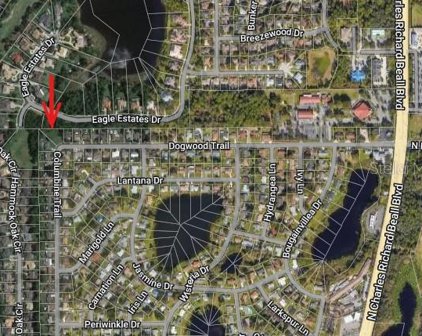 88 Dogwood Trail, Debary