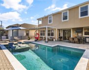 14333 Red Cardinal Court, Windermere image