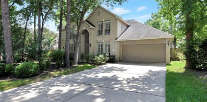 14 Scenic Mill Place, The Woodlands