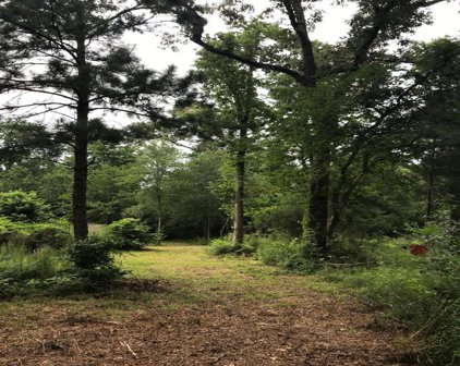 26150 Grand Pines Road, Magnolia