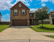 14830 Nickel Plank Road, Houston image