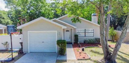 2931 Bay View Drive, Safety Harbor