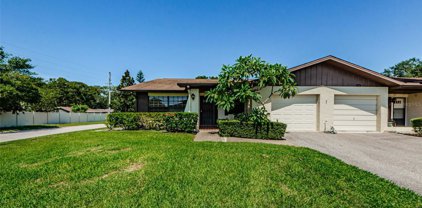 2188 Eisenhower Drive, Dunedin
