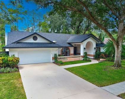 3406 Valley Ranch Drive, Lutz