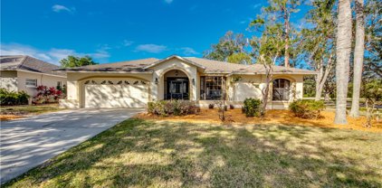 19076 Cypress View  Drive, Fort Myers