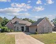 14585 Wisteria Lakes Dr, Central image
