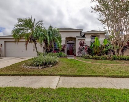 521 Tuscanny Park Loop, Brandon