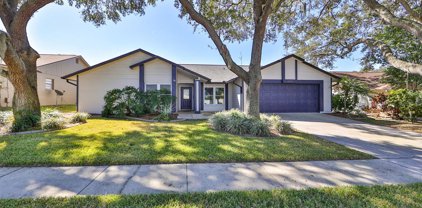2554 Brimhollow Drive, Valrico