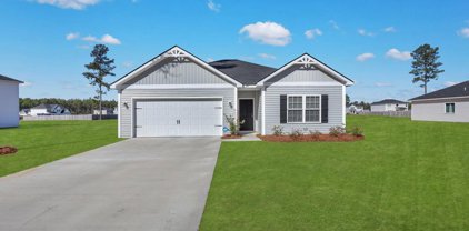 291 Morgan Field Boulevard, Ludowici
