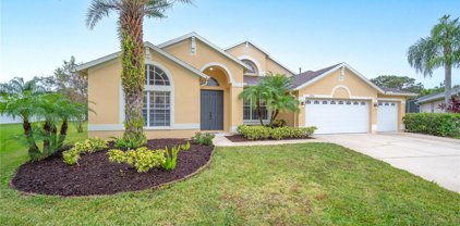 4704 Jacks Point Court, Lutz