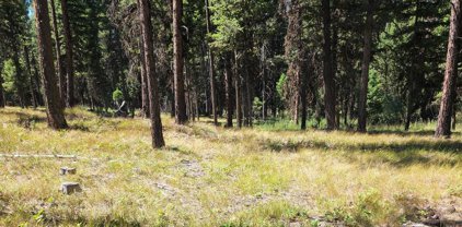1245 Grandview Drive, Seeley Lake