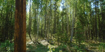 2077 N Meadow Lakes Loop, Wasilla