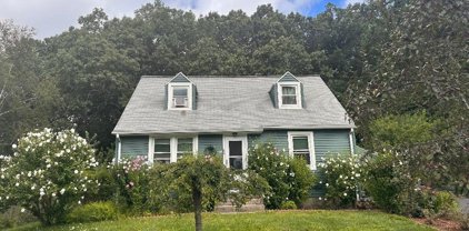 64 Homestead Ave, West Springfield