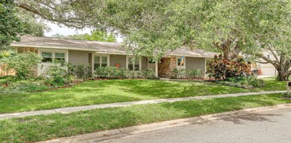 821 Spanish Oaks Boulevard, Palm Harbor