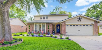 5907 High Meadow Street, League City