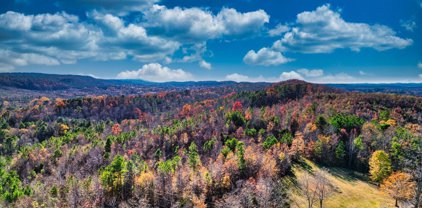 26 Acres Roy Isbell Drive, Ashville