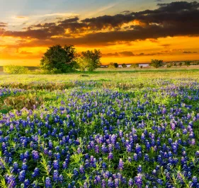 Check Out What's Happening in Taylor, TX