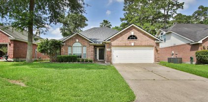 20923 Meadow Belle Court, Humble