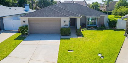13502 Clubside Drive, Tampa