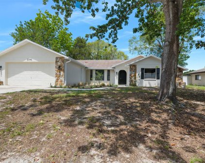 2396 Colusa Lane, Spring Hill