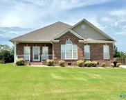 25659 Caldera Drive, Athens image