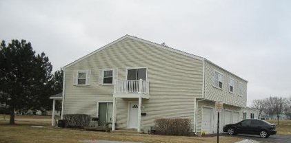 319 David Court Unit #D, Bartlett