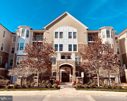 7400 Travertine Dr Unit #205, Baltimore