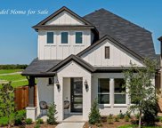 10607 Tall Timbers  Trail, Frisco image