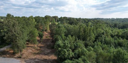 002 County Road 1825, Arab