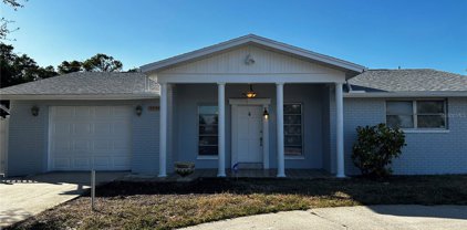 7040 Jasmine Boulevard, Port Richey