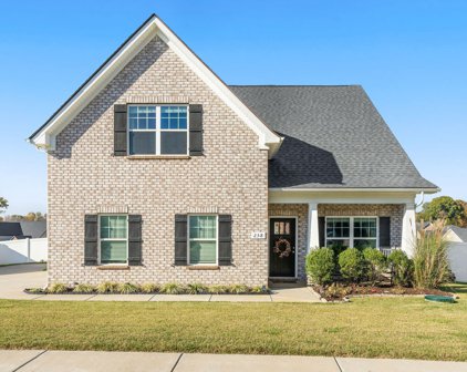 258 Edgefield Ct, Pleasant View