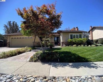 42971 Luzon Drive, Fremont