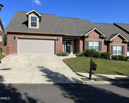4214 Rare Earth Drive, Knoxville