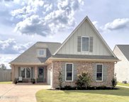 2161 E Watson View, Nesbit image