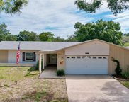4016 Orangefield Place, Valrico image