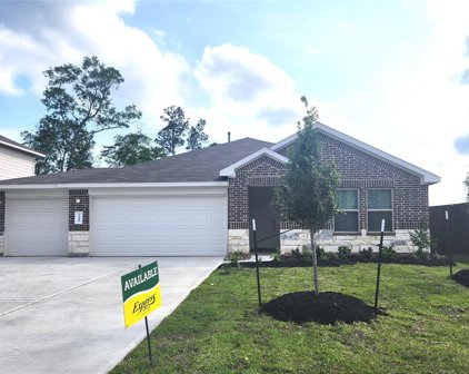 21440 Sacred Grove Street, New Caney