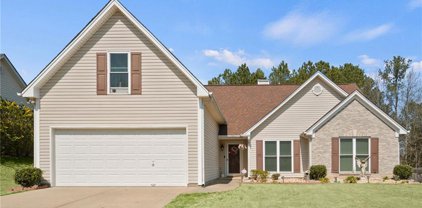 4298 Duncan Ives Drive, Buford