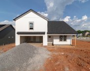 70 Clear Springs, Clarksville image