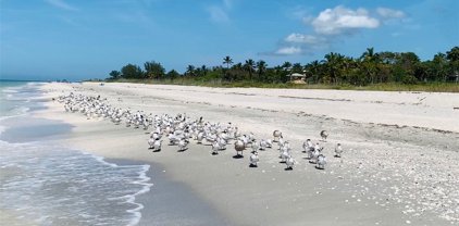 3145 W Gulf Drive Unit 204, Sanibel