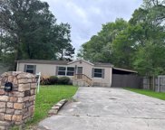 33106 Mckinley Circle, Magnolia image