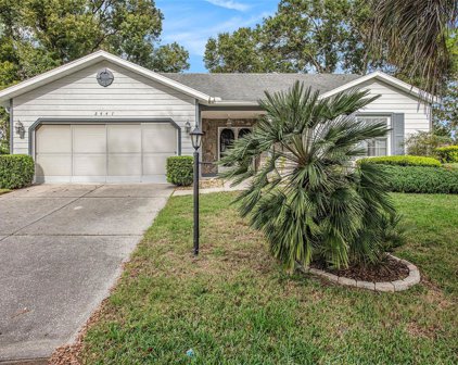 2447 Grasslands Court, Spring Hill