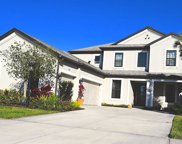 Sarasota image